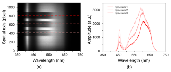 스크린샷, 디자인이(가) 표시된 사진AI 생성 콘텐츠는 정확하지 않을 수 있습니다.